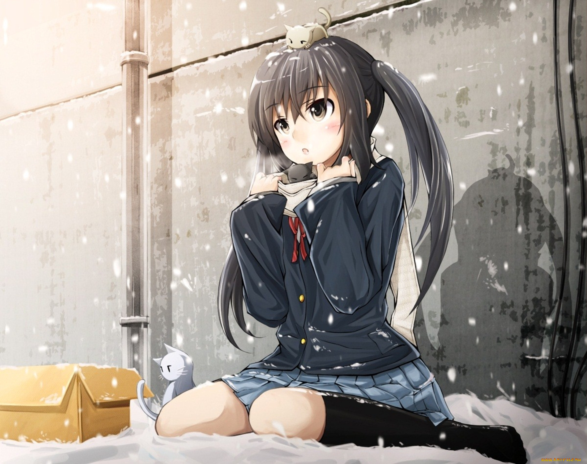 , on, , , , nakano, azusa, , , 